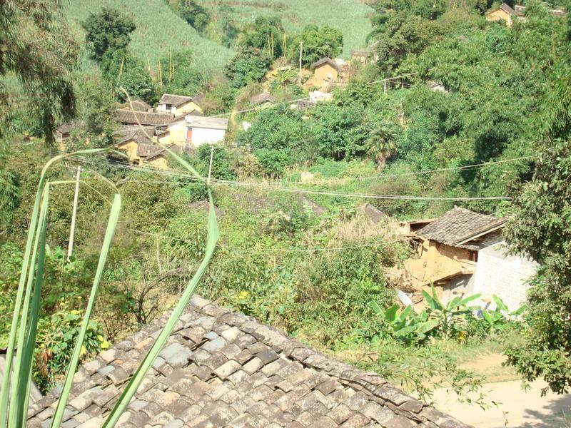 曹家寨自然村(亞練鄉亞練村委會下轄自然村)