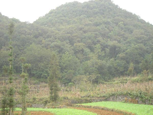 小毛草窪村