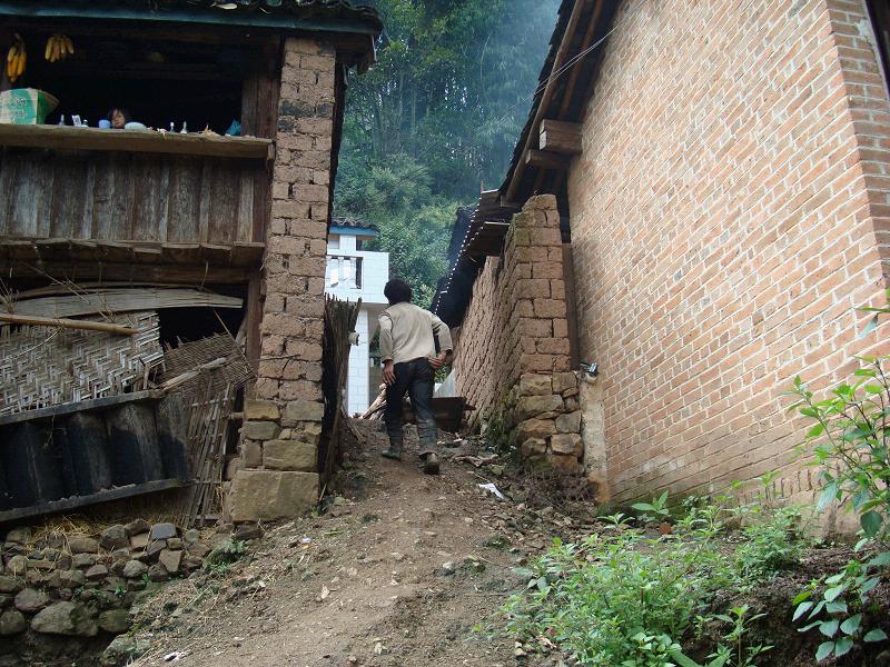 進村道路