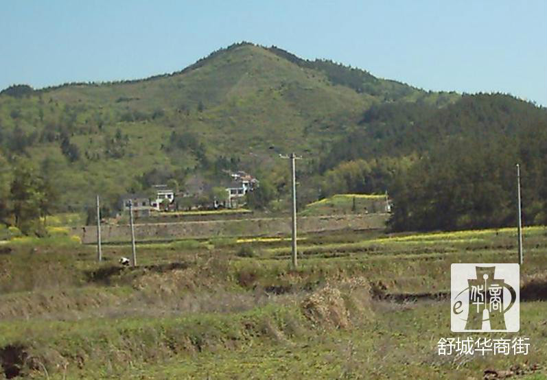 胡畈村(安徽省六安市舒城縣湯池鎮下轄村)