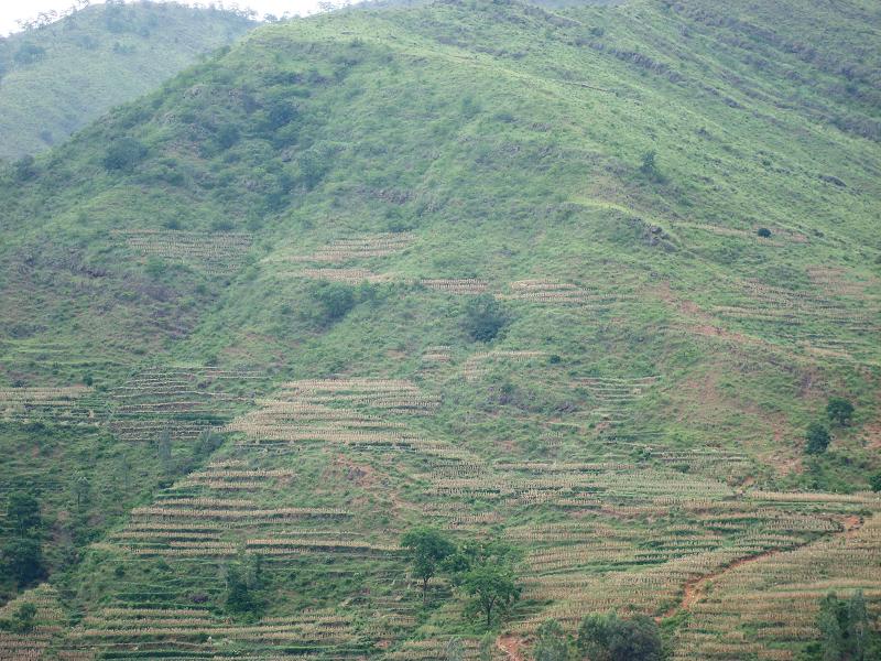 匯源村的山地