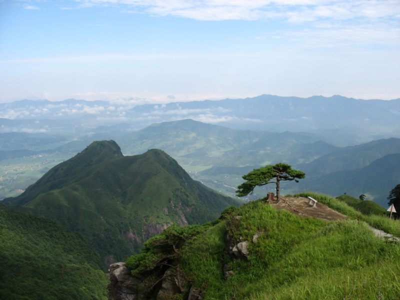 發雲界