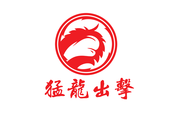 猛龍出擊（河南）文化傳媒有限公司