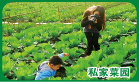 密山市開心農場