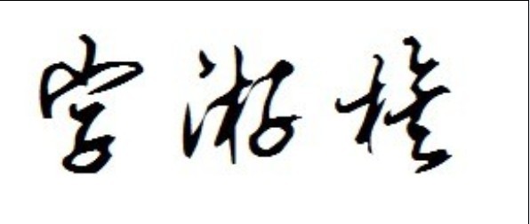 字游族