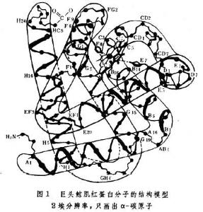 生物課