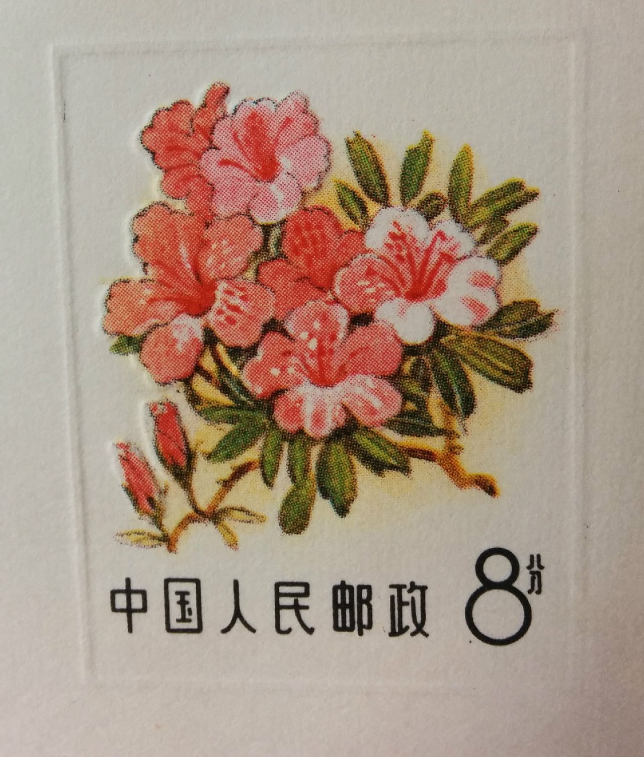 M1 花卉郵資信封