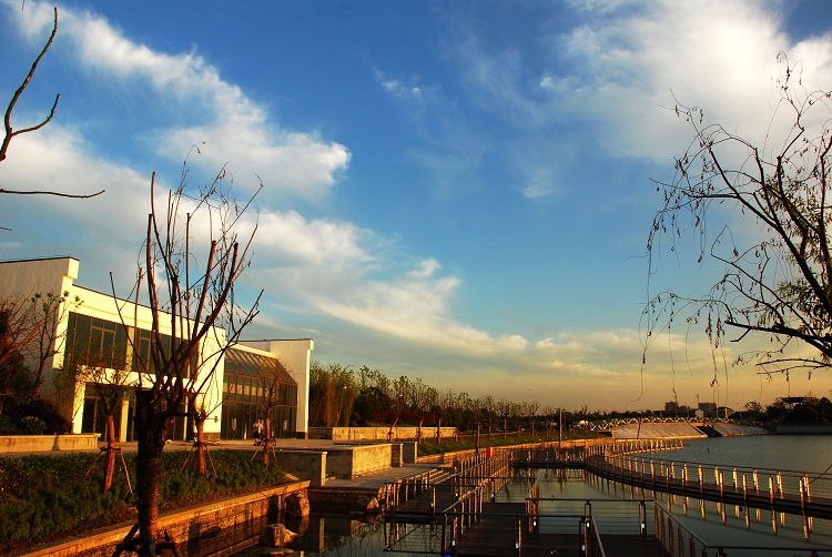 新城公園-雲