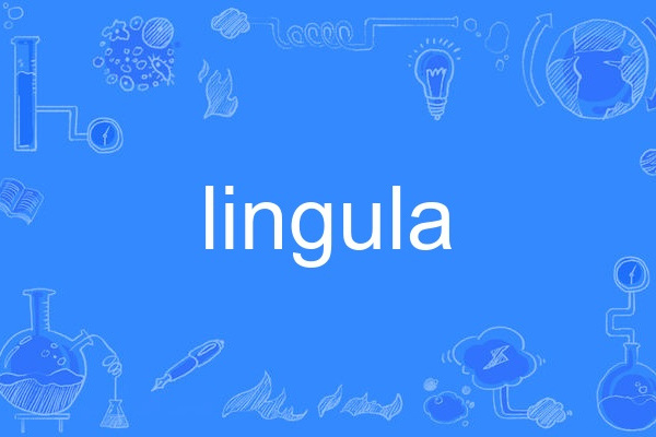 lingula