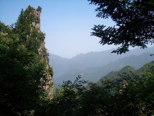 青峰峽森林公園