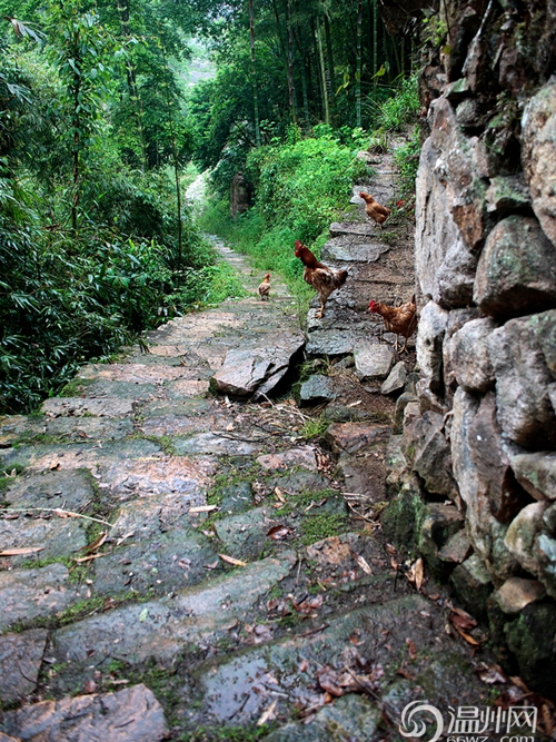 湖嶺古道