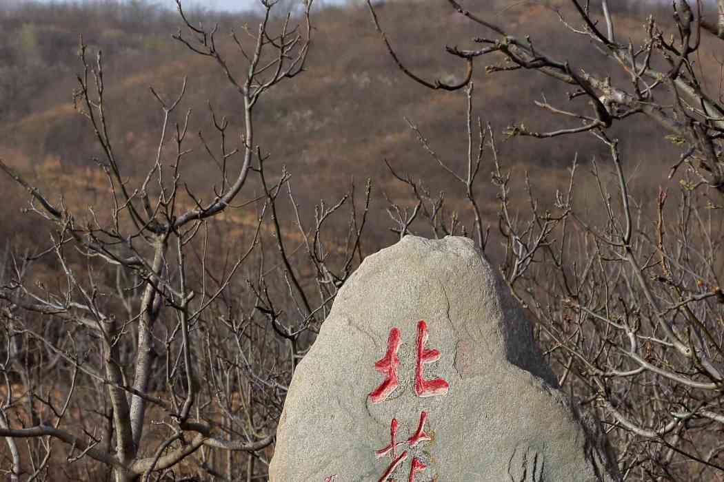 北花園村(贊皇縣院頭鎮下轄村)