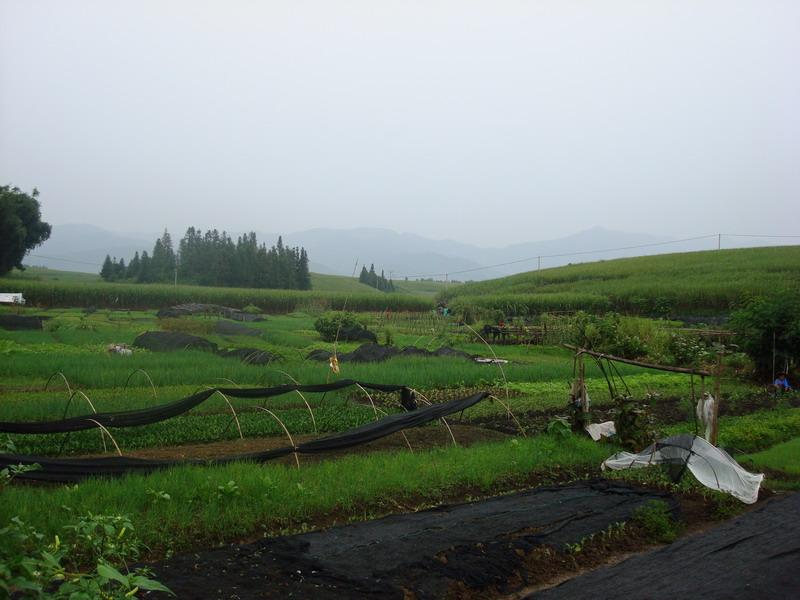 村中田園