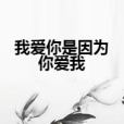 我愛你是因為你愛我(人生不能重來創作的網路小說)