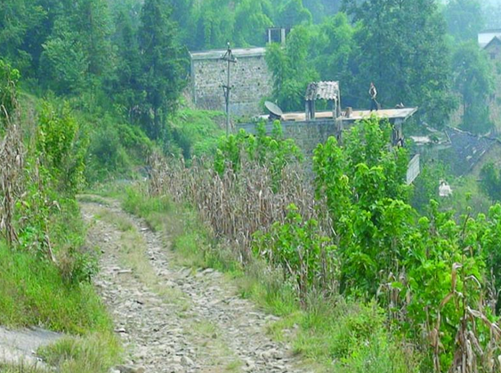 岩頭自然村(雲南省昭通鎮雄縣羅坎鎮大廟村委岩頭自然村)