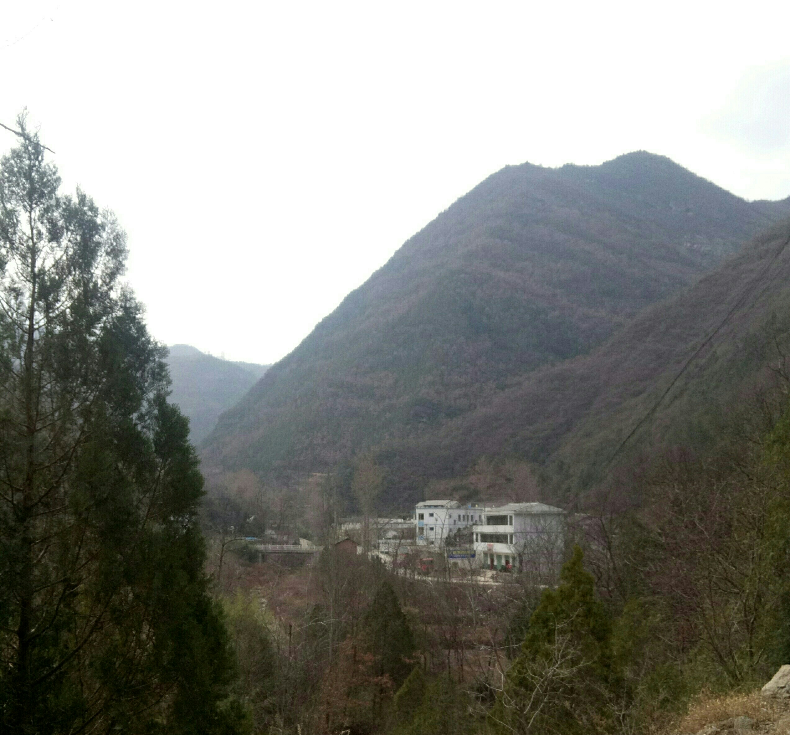 李山村(甘肅省隴南市康縣周家壩鎮下轄村)