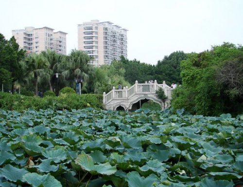 杞縣東湖公園