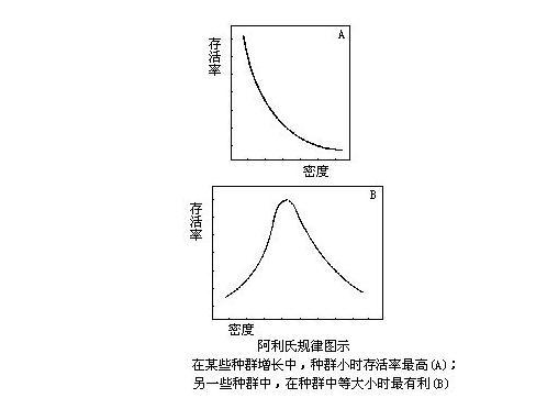 阿利氏規律