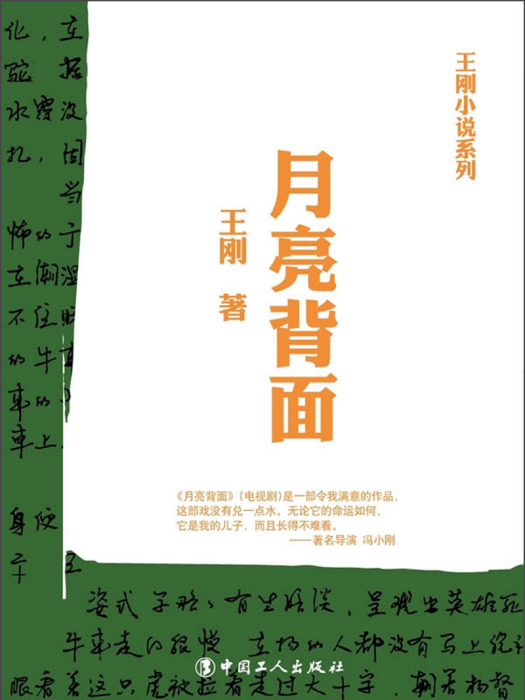 王剛小說系列：月亮背面