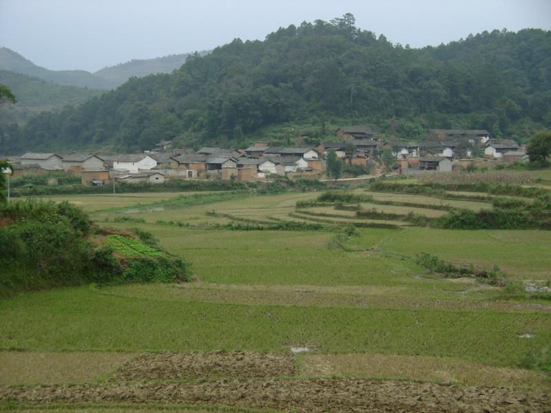 下清平全景