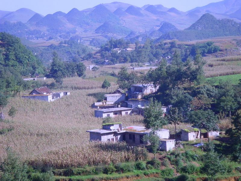 大地村(雲南省保山施甸縣木老元鄉下轄村)