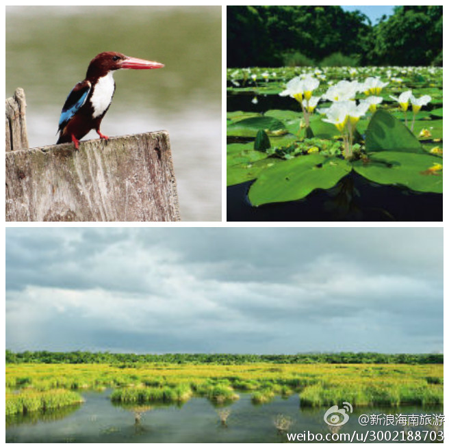 海口羊山濕地公園