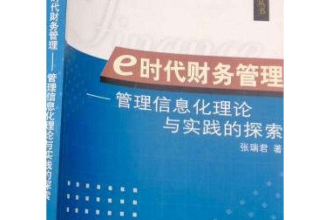 e時代財務管理—管理信息化理論與實踐的探索