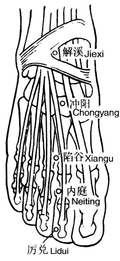 足部穴點陣圖