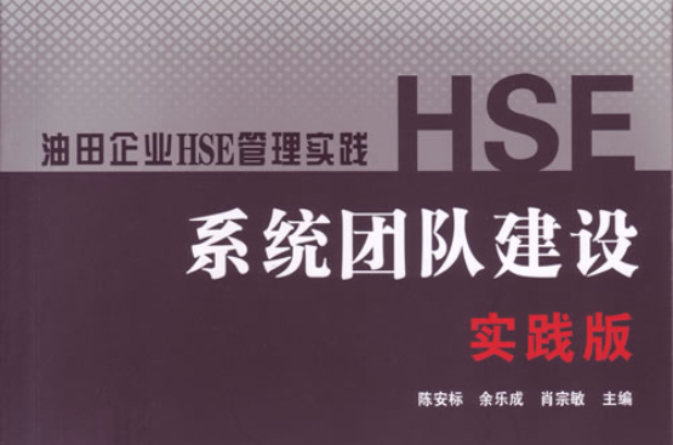 HSE系統團隊建設