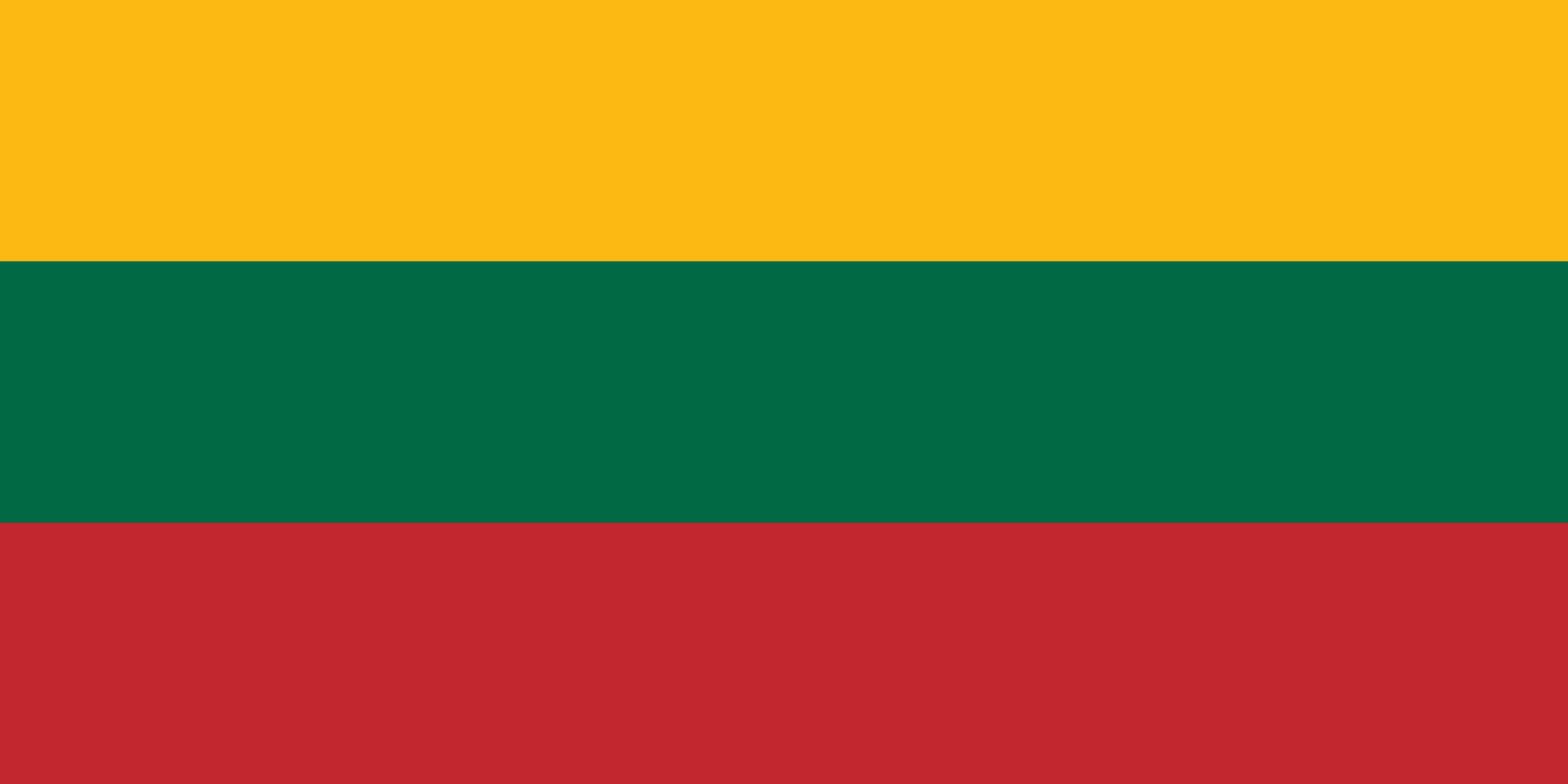立陶宛國旗1991~2004（長寬比為2:1）