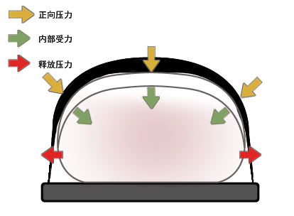 心肺復甦機第二代“負荷分散式按壓”受力圖