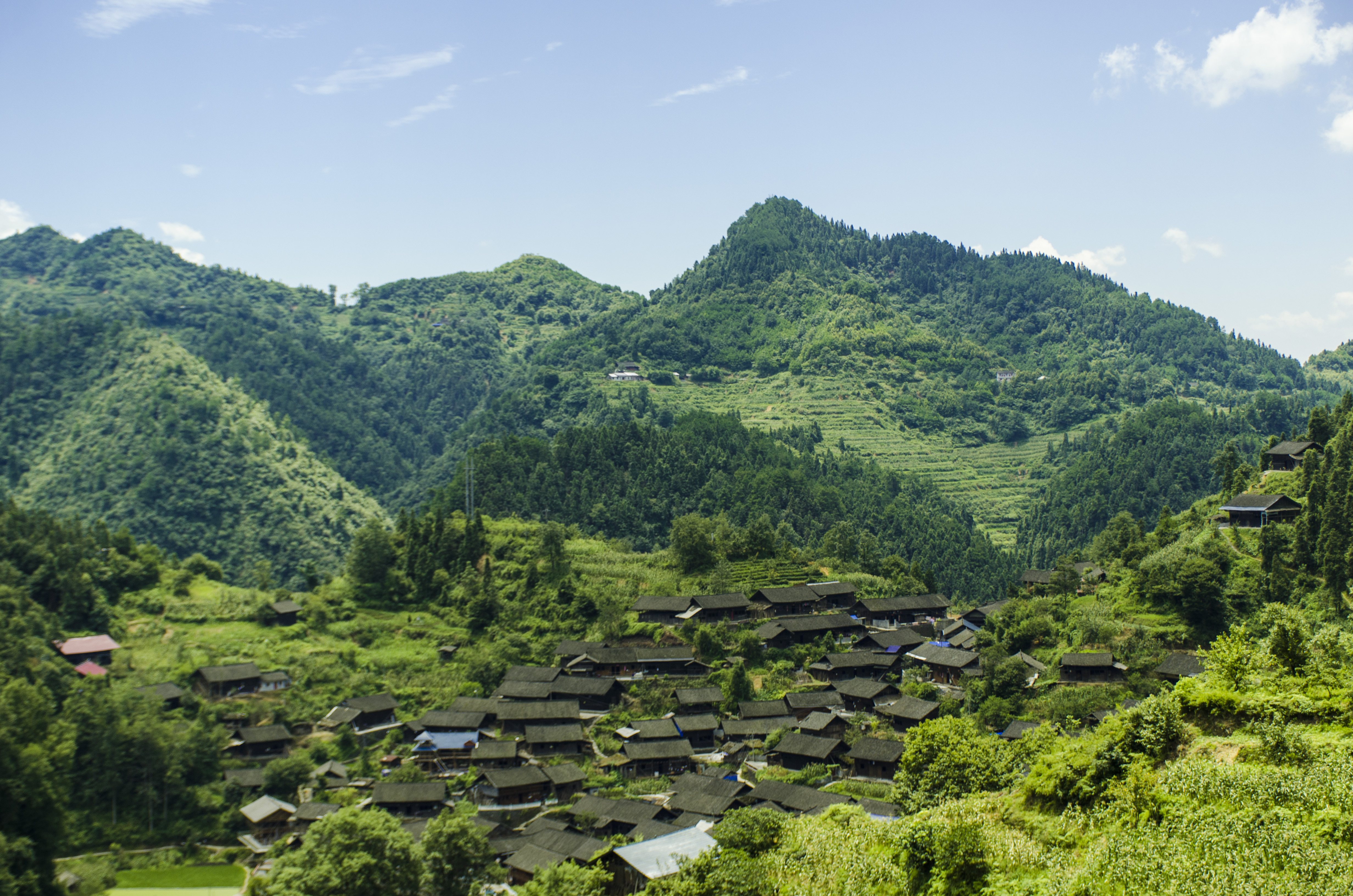 翁草村