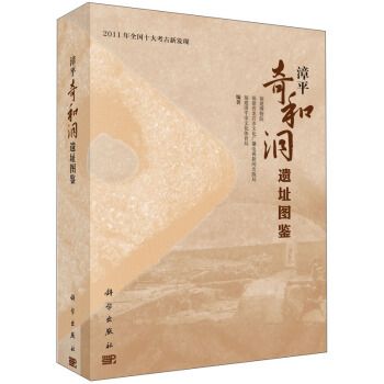 2011年全國十大考古新發現：漳平奇和洞遺址圖鑑