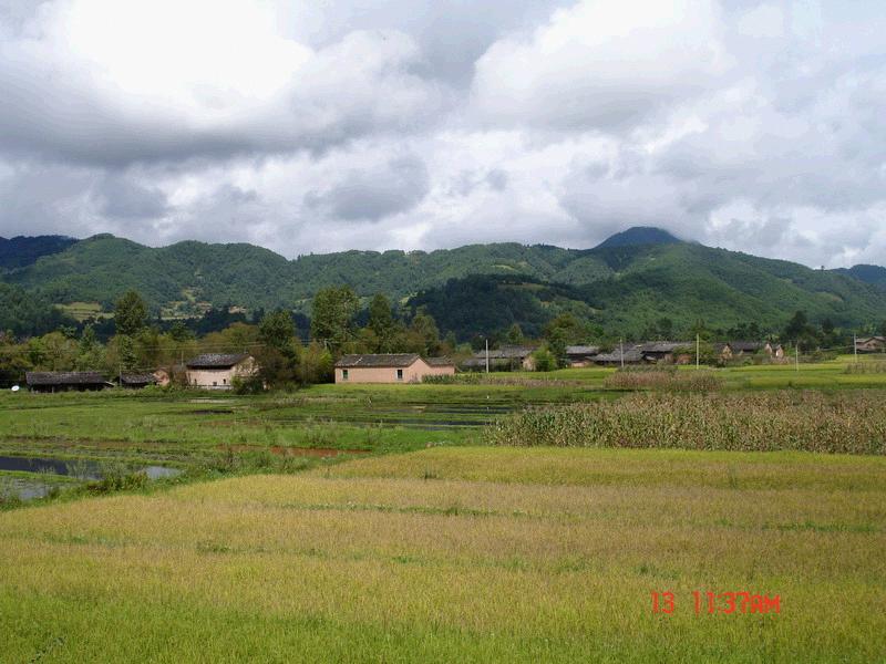 小米田自然村