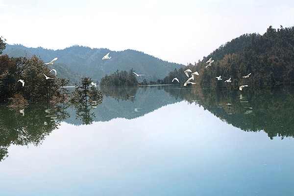 東陽湖濕地公園