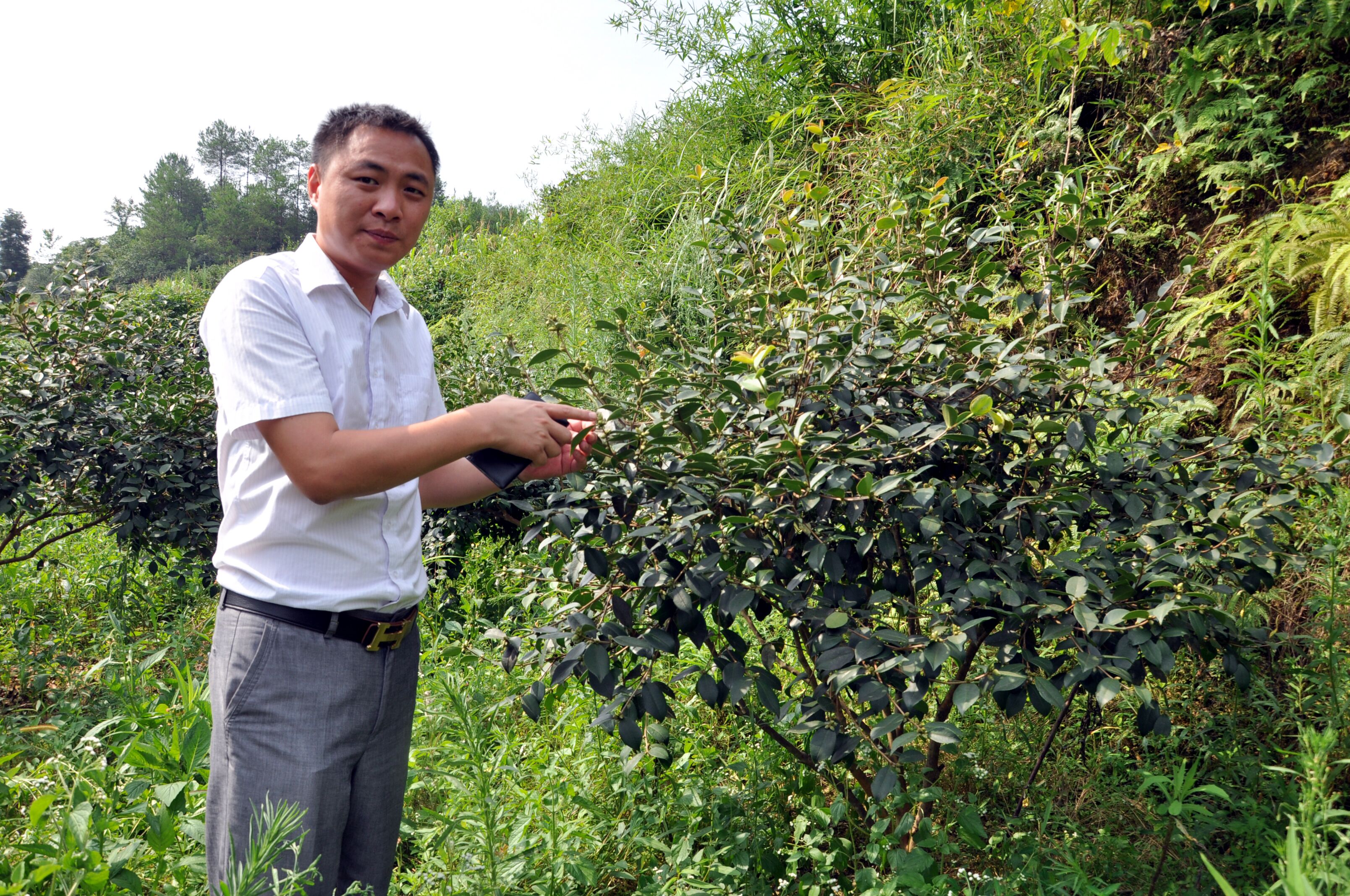 鄭國彬(重慶市中頤集團董事長)