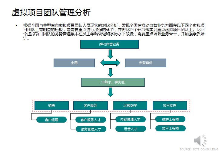 虛擬項目團隊