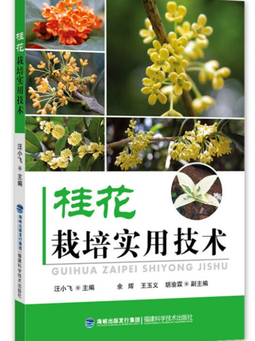 桂花栽培實用技術