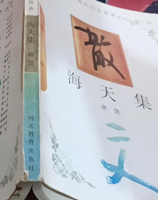 海天集(2000年河北教育出版社出版的圖書)