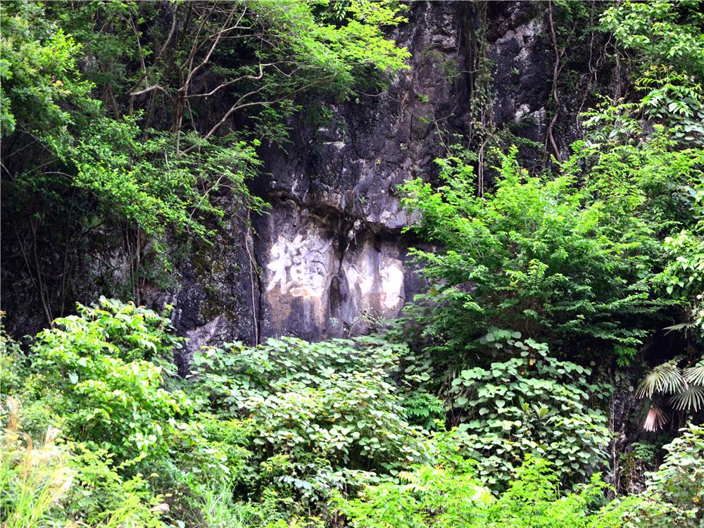 玉坡村(廣西壯族自治區鐘山縣燕塘鎮下轄行政村)