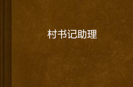 村書記助理