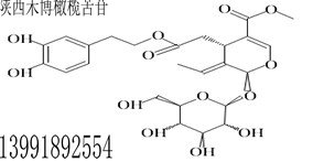 橄欖苦苷