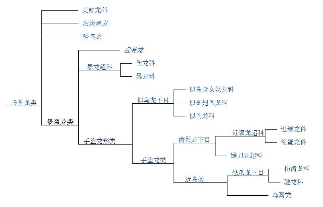 暴盜龍類