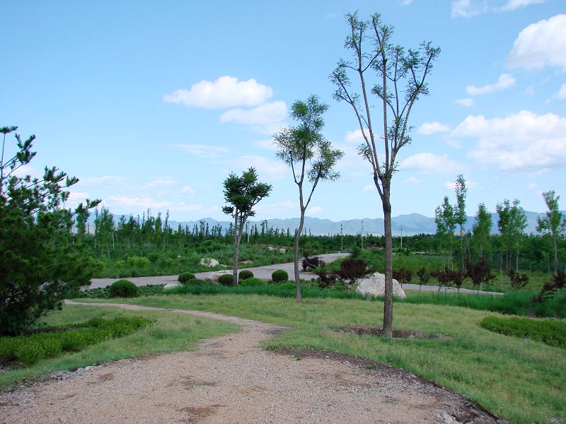 張山營鎮政府南側公園