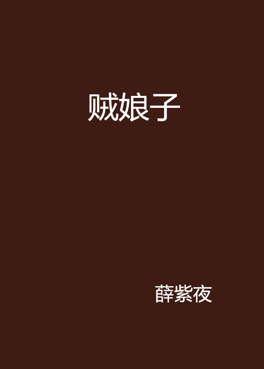 賊娘子(薛紫夜的小說)