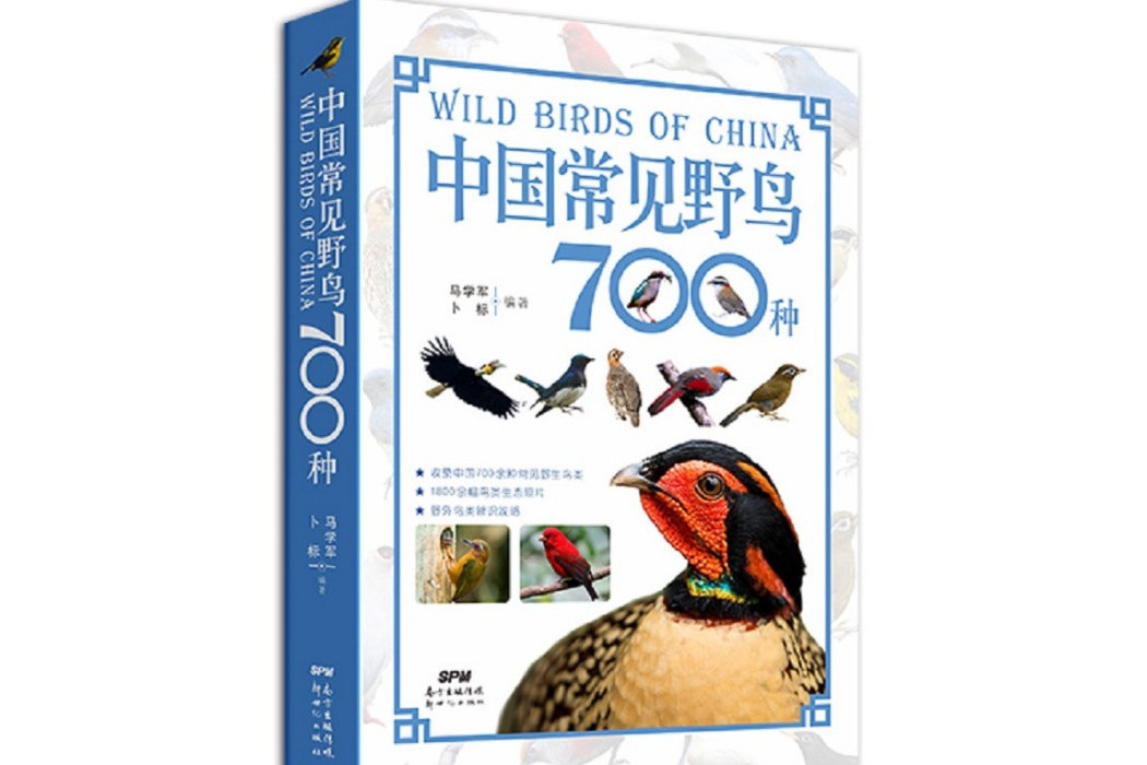 中國常見野鳥700種