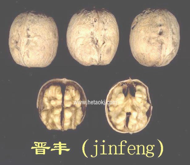 晉豐核桃