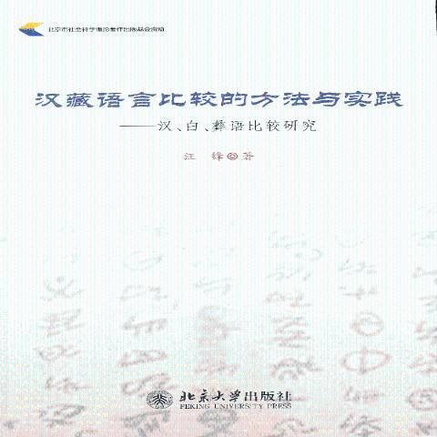 漢藏語言比較的方法與實踐：漢、白、彝語比較研究