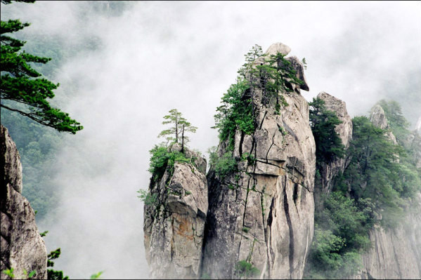 堯山旅行社