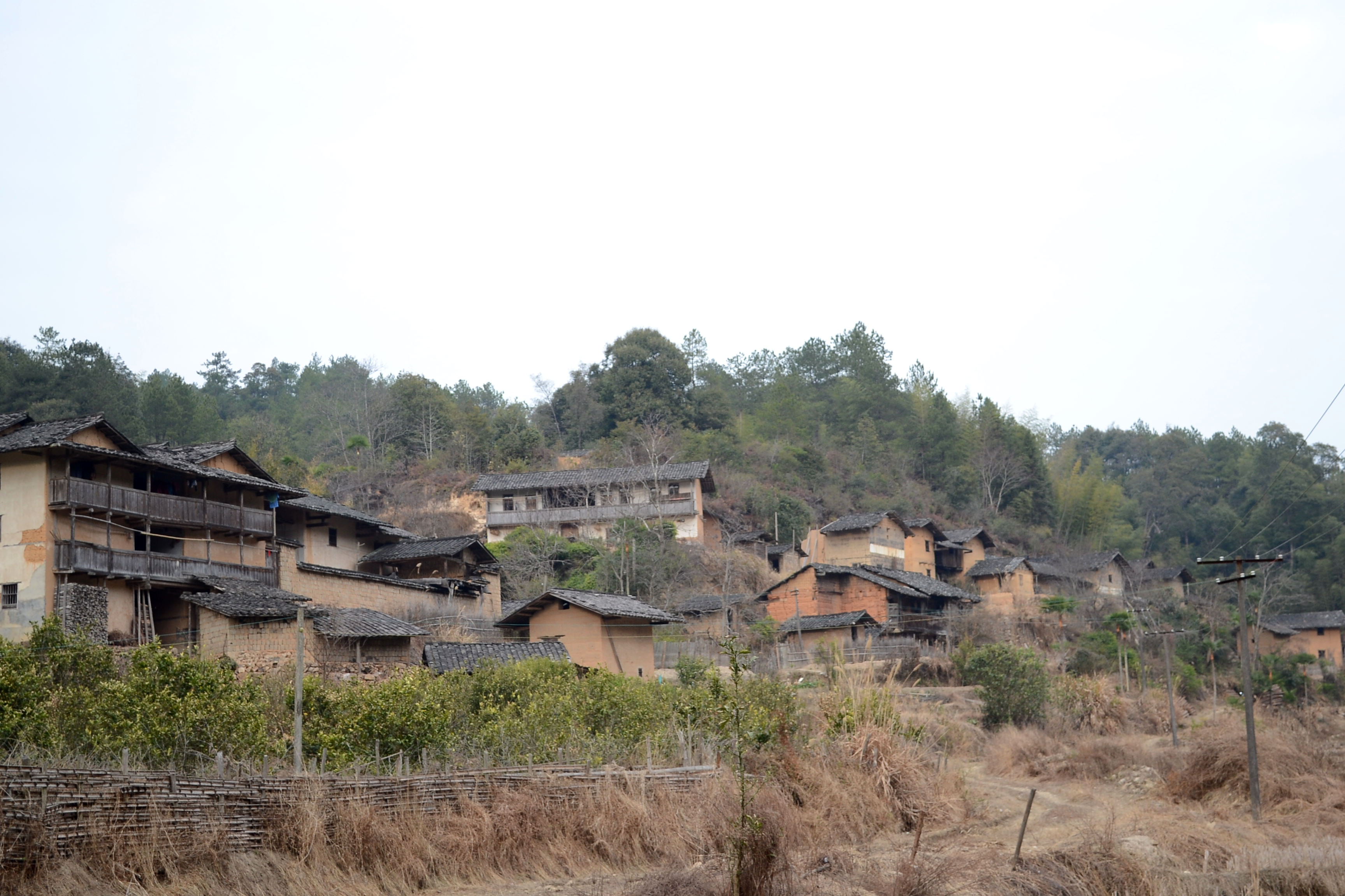 打鳥村